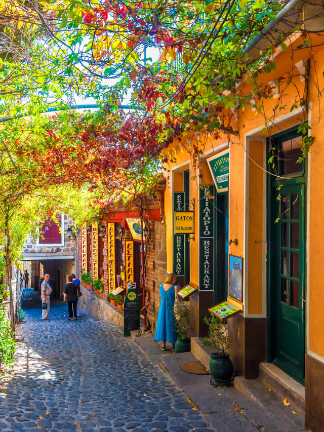 People strolling down a charming street lined with colorful shops and restaurants.
