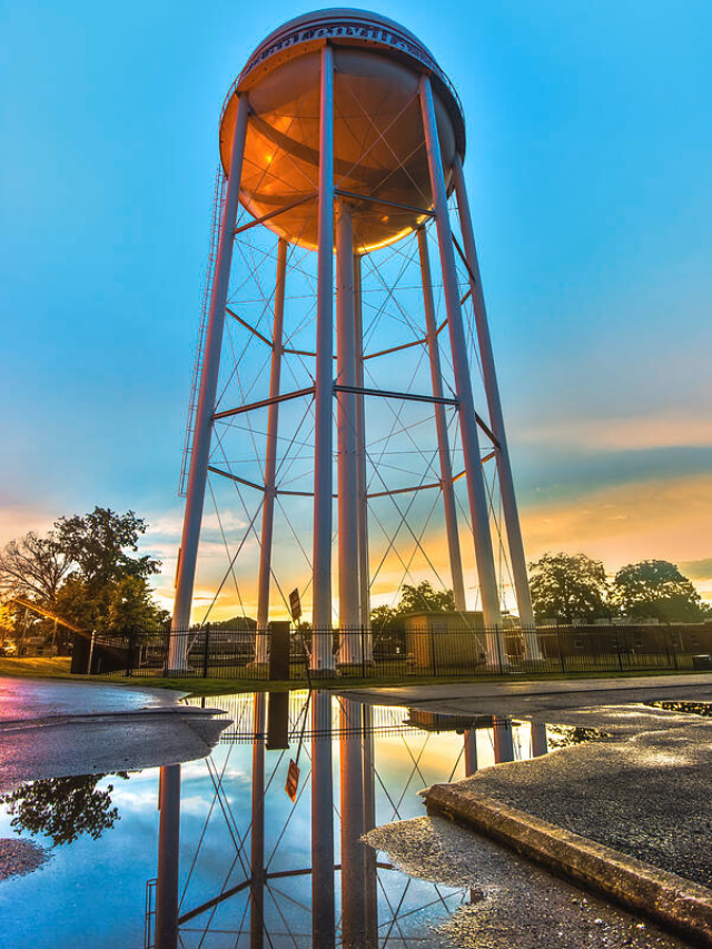 Bentonville's Creative Spirit

