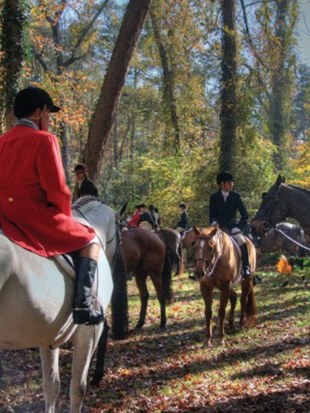 Explore Aiken's Horse Country