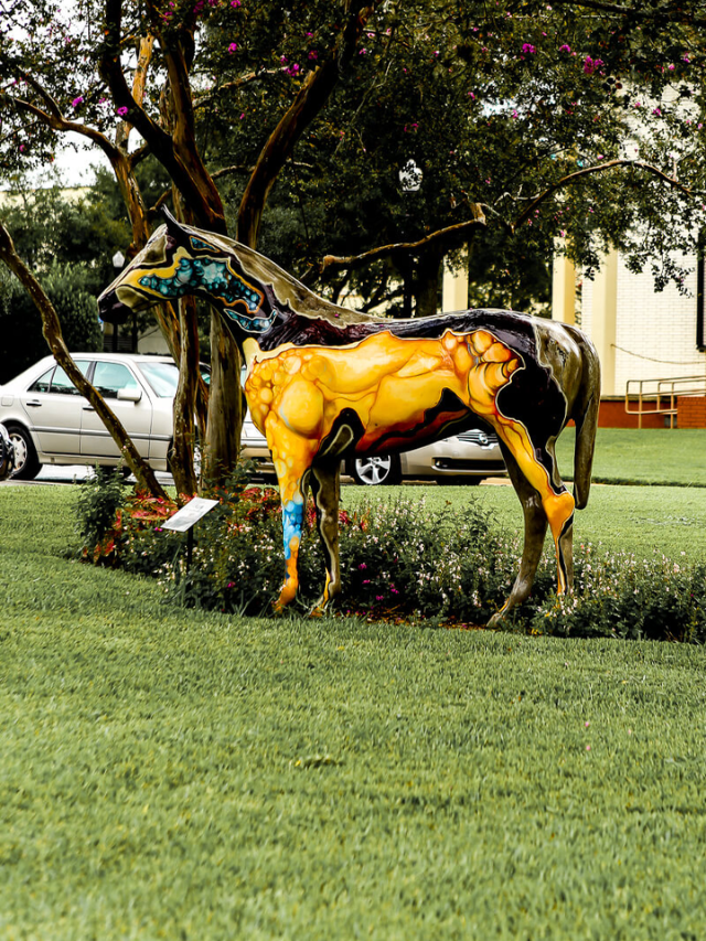 Unveiling Ocala's History
