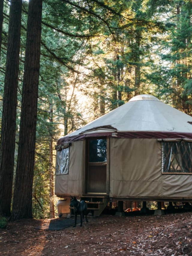  Unwind and Recharge: Find Your Sanctuary