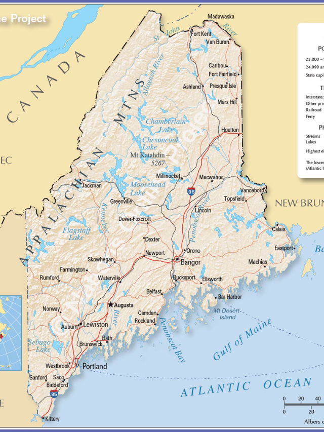 Unlike the West, where wolves and coyotes are distinct, Maine's coyotes have wolf ancestry.