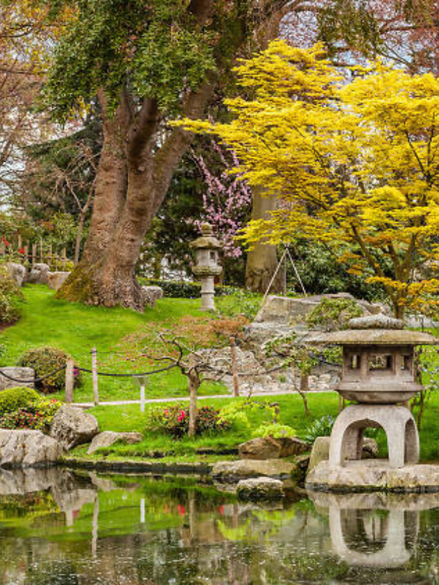  Seek serenity at the Wishing Well Park. Tucked away amidst the urban landscape, this hidden gem offers a tranquil escape with a charming wishing well, perfect for quiet contemplation.