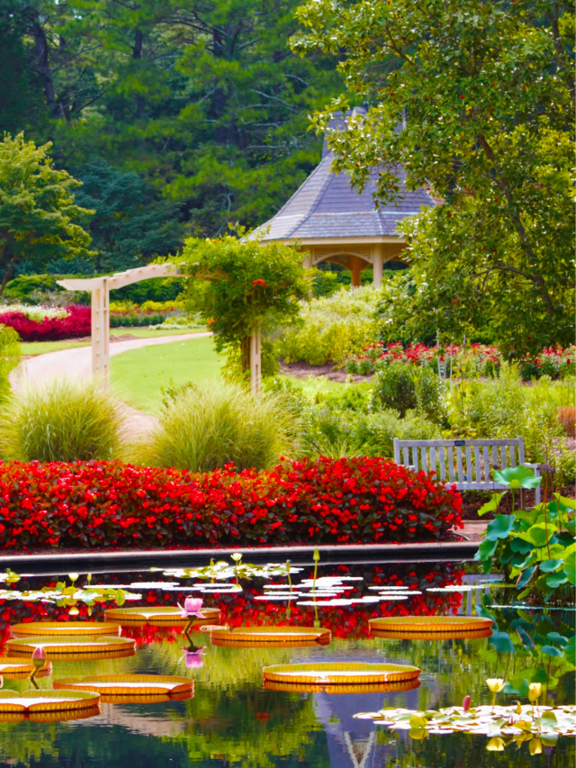 Discover the Huntsville Botanical Garden
