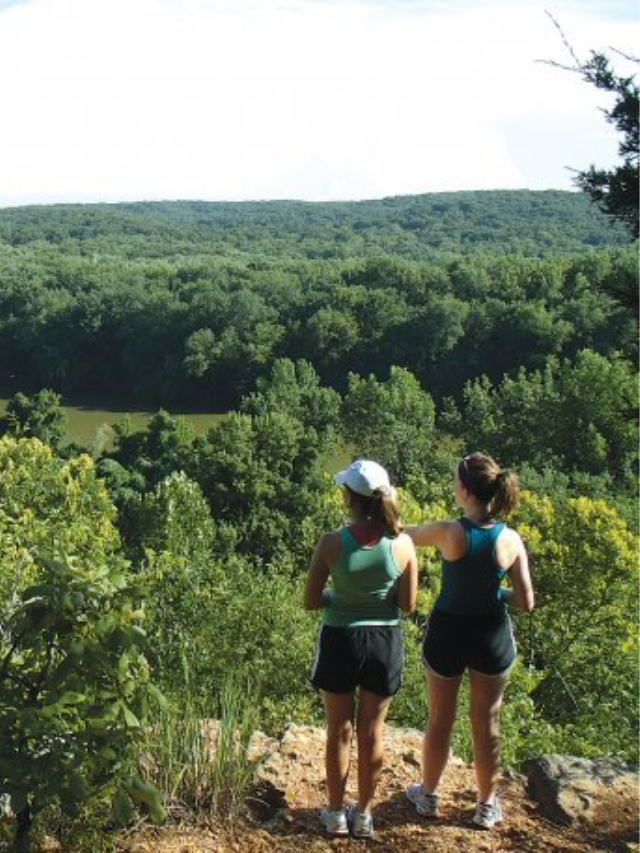 Escape the urban bustle and explore Louisville's beautiful parks and waterways. Hike or bike through Iroquois Park, kayak on the Ohio River, or stroll through the scenic waterfront parks.