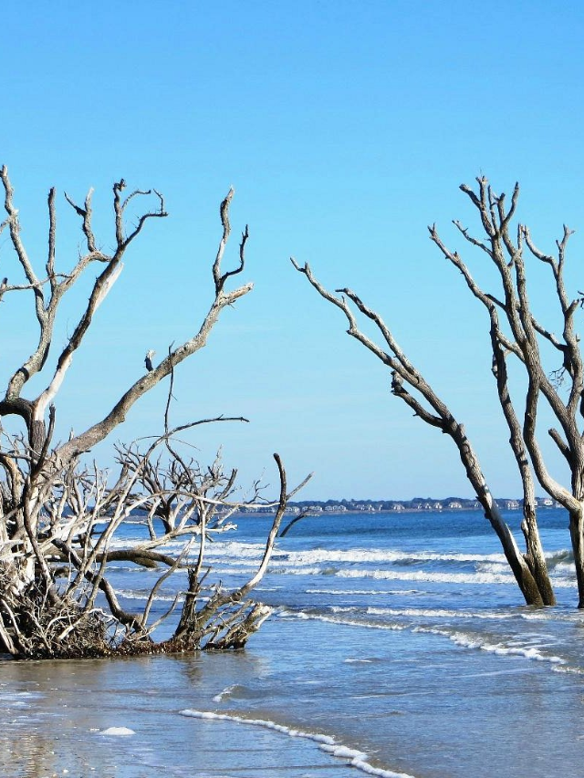 Unwind at Botany Bay Plantation