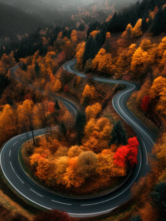  A winding road snaking through a lush forest with mountains rising majestically in the distance.

