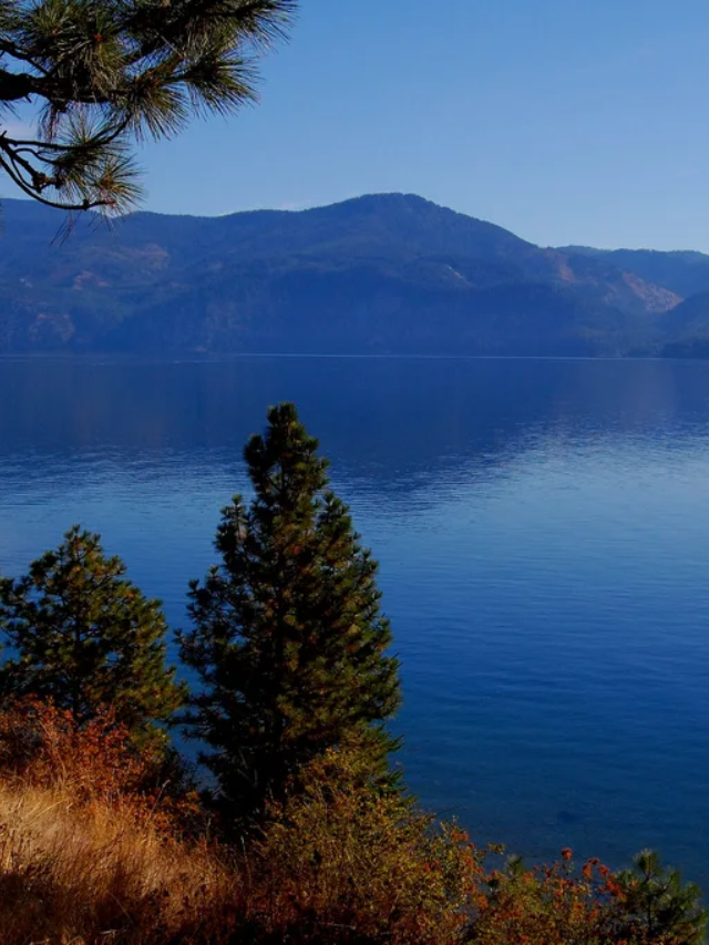 Embrace the thrill of adventure at Farragut State Park. Hike or bike through verdant trails, embark on a kayaking expedition, or simply relax by the pristine lake and reconnect with nature.