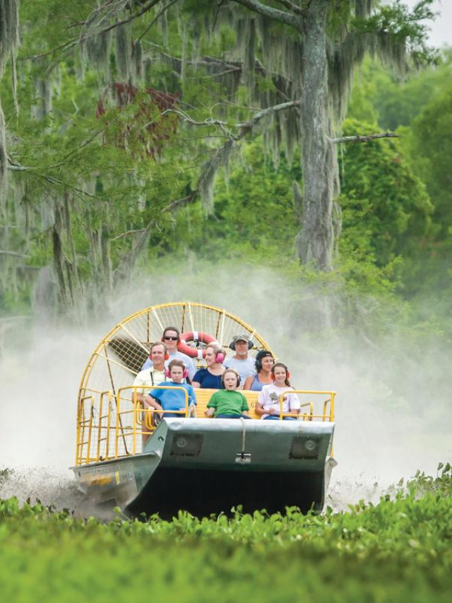  People kayaking in the Baton Rouge Swamp National Conservation Area.
