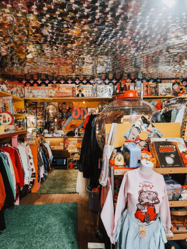 Shop Local at the Camp