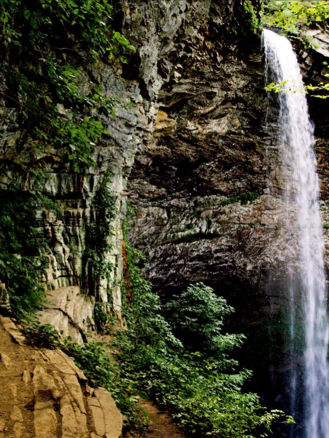  Start planning your Tennessee adventure today! Research festivals, discover hidden gems, and book your dream vacation in this captivating state. Let Tennessee unveil its charm to you.