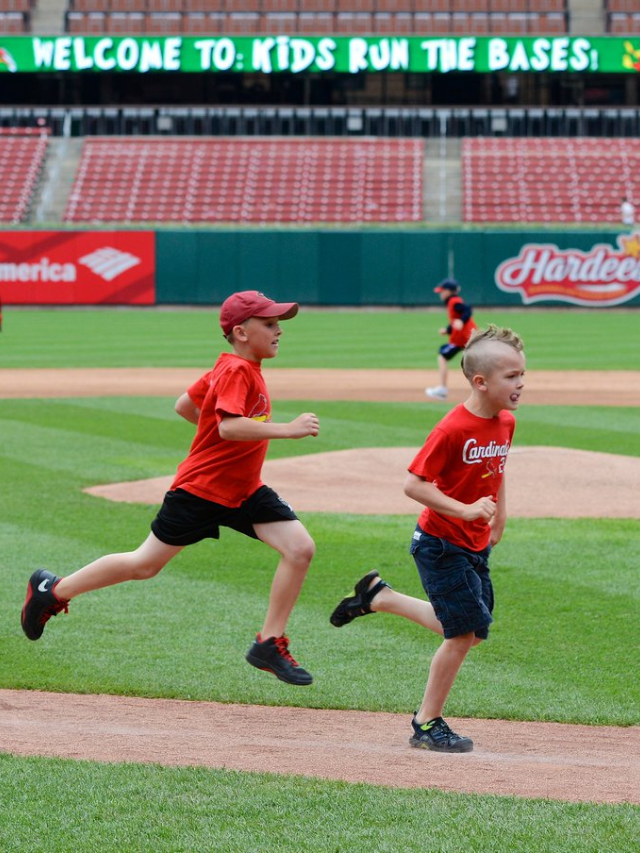 Catch a Game: Busch Stadium and Sporting Culture
