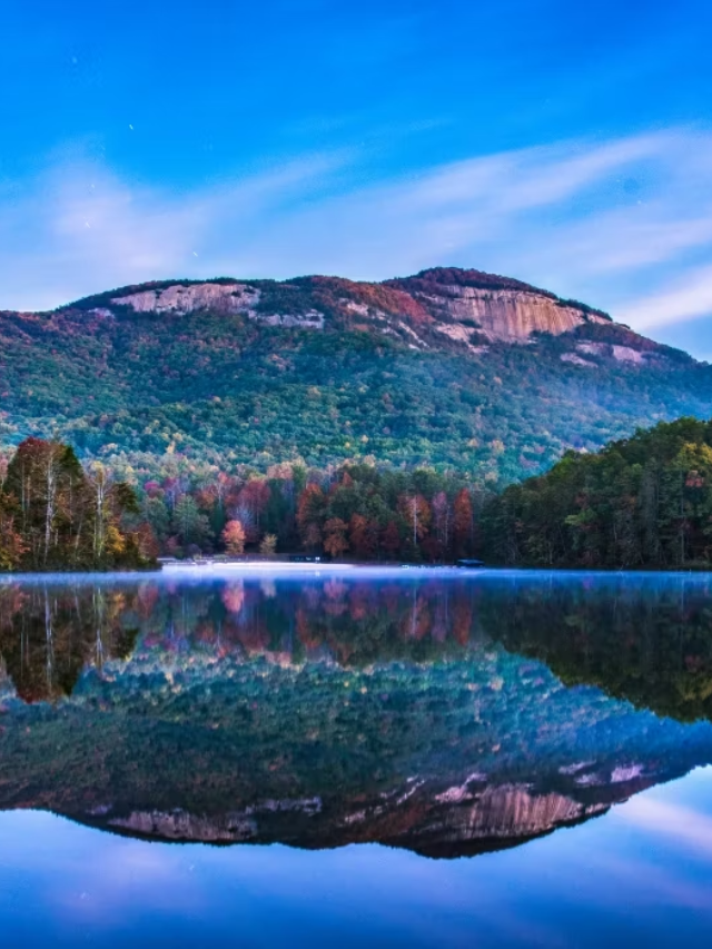 Your South Carolina Adventure Awaits