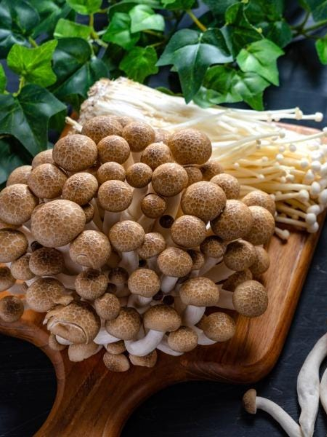 How to Take Functional Mushrooms
