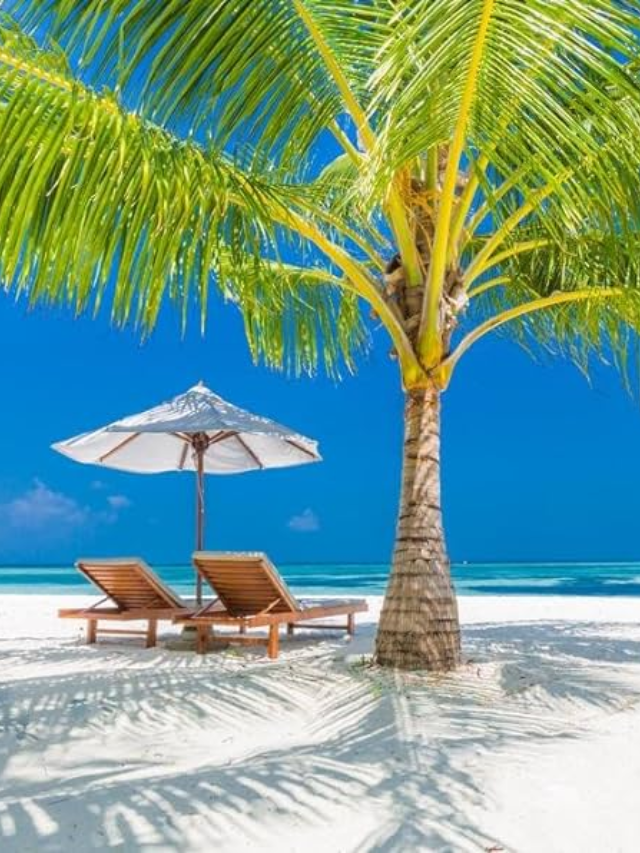 A couple relaxing on lounge chairs under palm trees on a secluded beach.
