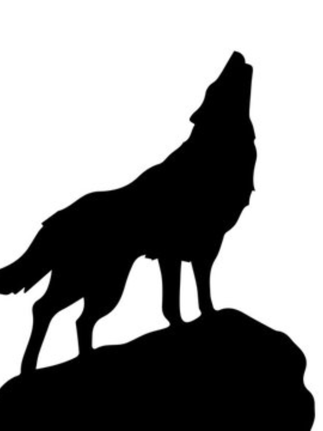 John Glowa of the Maine Wolf Coalition argues wolves deserve to be back, regardless of genetic makeup.