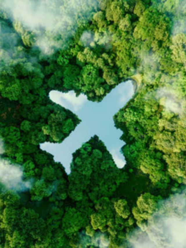 Sustainable Travel Tips
