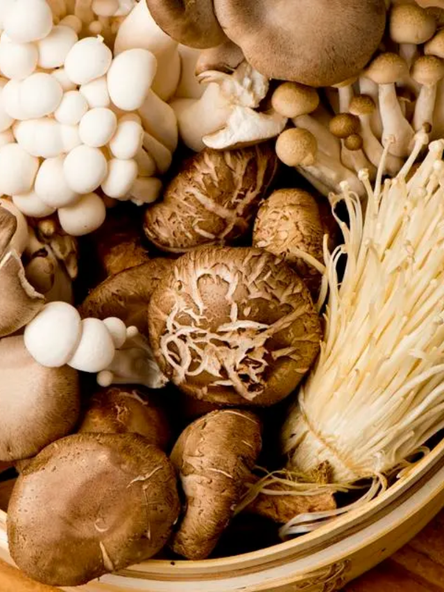 Top Five Functional Mushrooms for Beginners