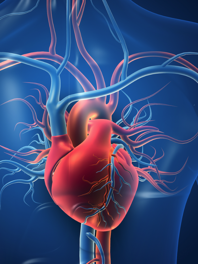 Take Charge of Your Heart Health
