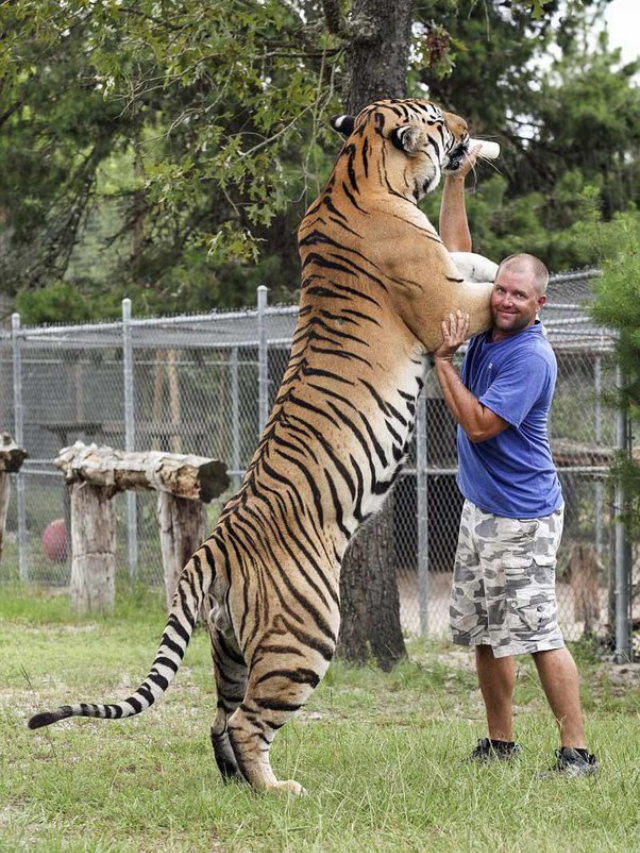 Family enjoying a day at the zoo, watching animals roam freely in their enclosures.
