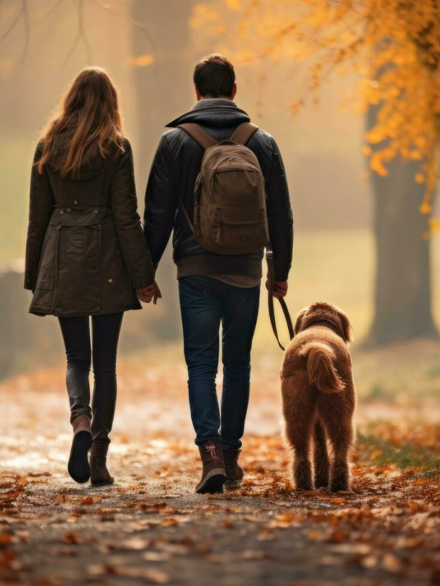 A couple holding hands and walking along a scenic path at sunset, with the lake and mountains in the background.
