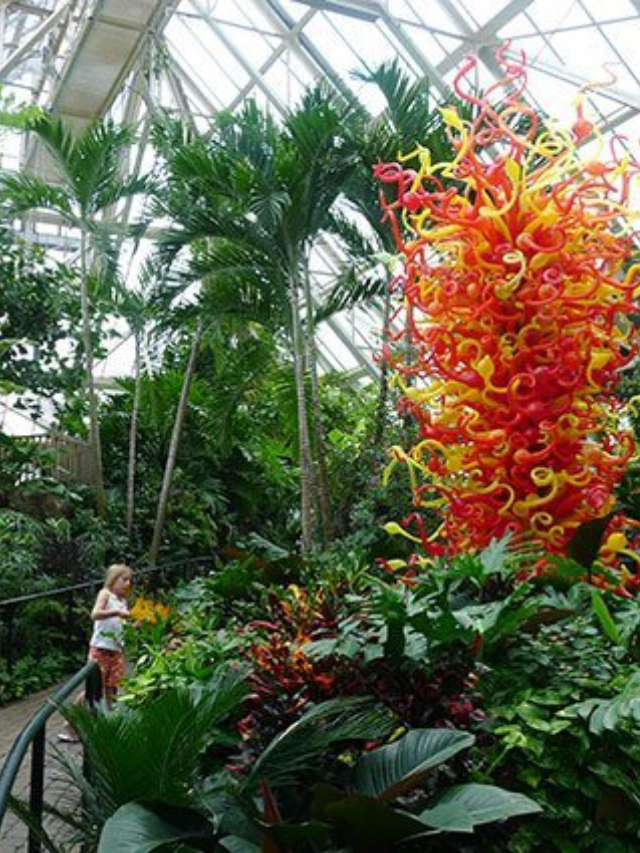 Escape the city bustle and find tranquility at the Franklin Park Conservatory and Botanical Garden. Explore a world of exotic plants housed in magnificent glasshouses, from the rainforest biome to the desert exhibit. This historic landmark offers a scenic escape for nature lovers and photography enthusiasts.