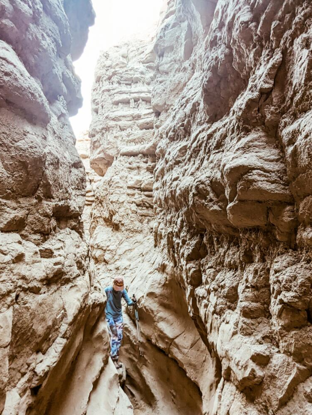 Escape the urban jungle and embark on a thrilling hike in the majestic Runyon Canyon or Griffith Park.  Witness panoramic city views, cascading waterfalls, and diverse wildlife.