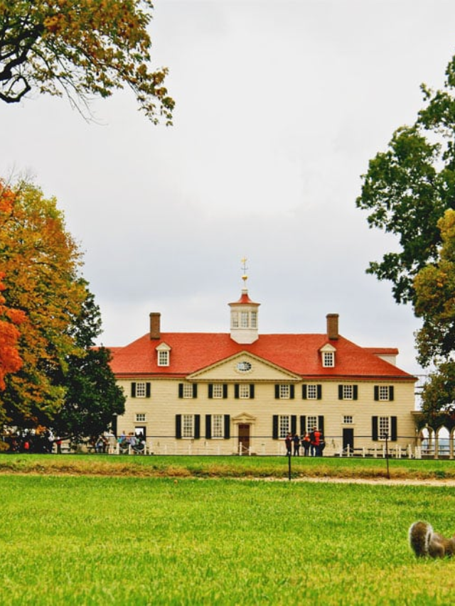 A collage of portraits of George Washington, Thomas Jefferson, and James Monroe with their respective homes (Mount Vernon, Monticello, and Ash Lawn-Highland) in the background.
