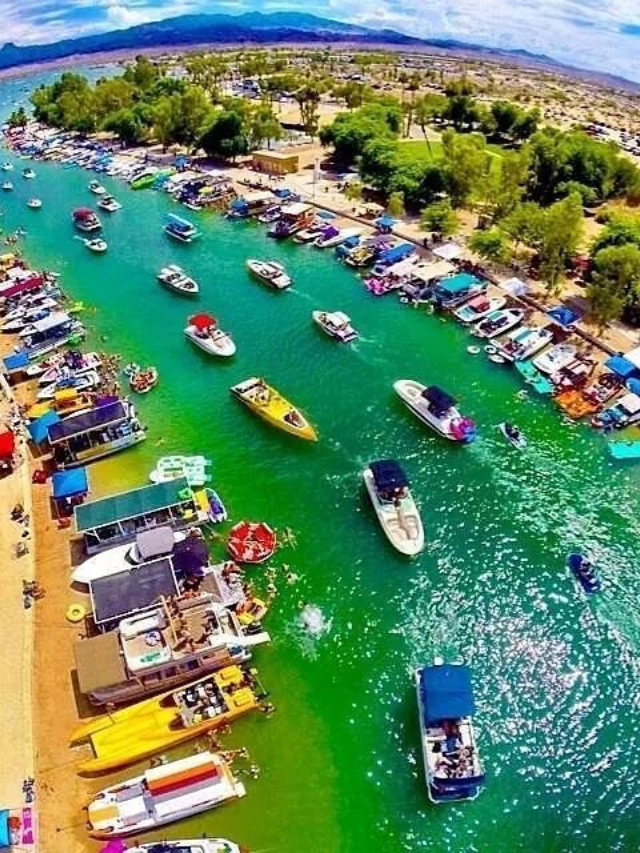A scenic photo of Tempe Town Lake with paddle boats on the water and lush greenery lining the shore.
