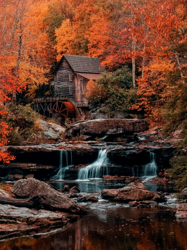 Unwind in Nature's Embrace: Kanawha State Forest
