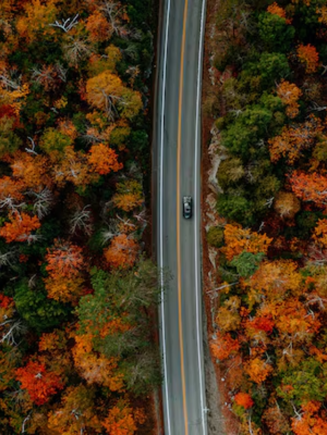  A breathtaking panoramic view of Shenandoah National Park with rolling mountains and vibrant fall foliage.
