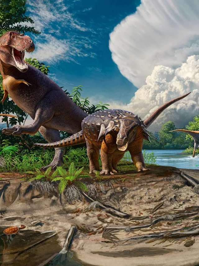 Discovering Teen Rex
