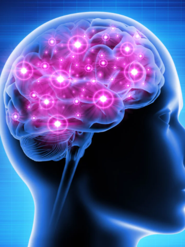 Neural Recordings
