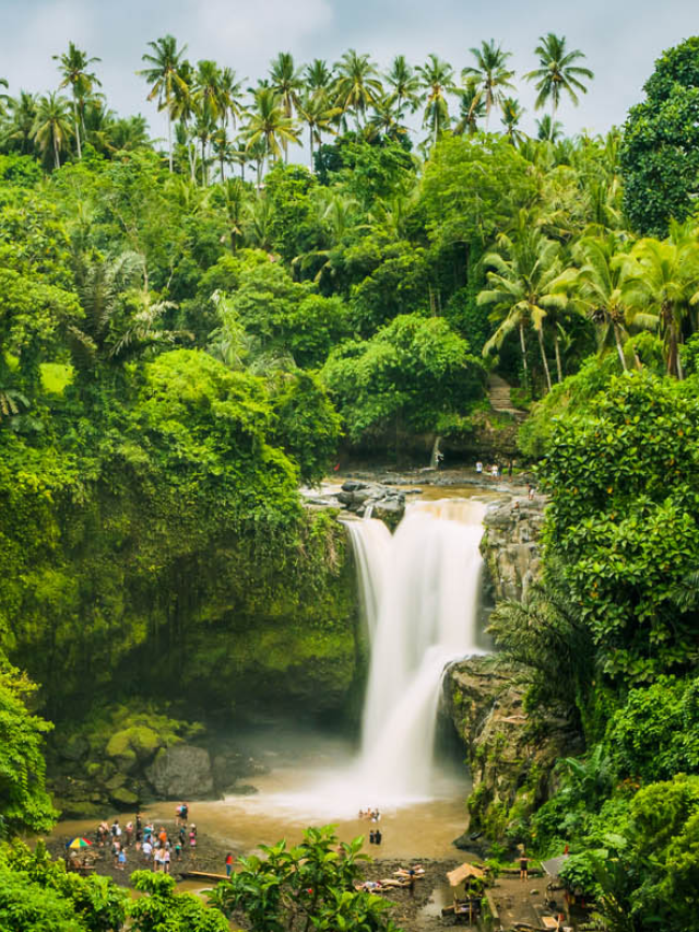Hikers exploring a lush rainforest trail with cascading waterfalls and breathtaking views.
