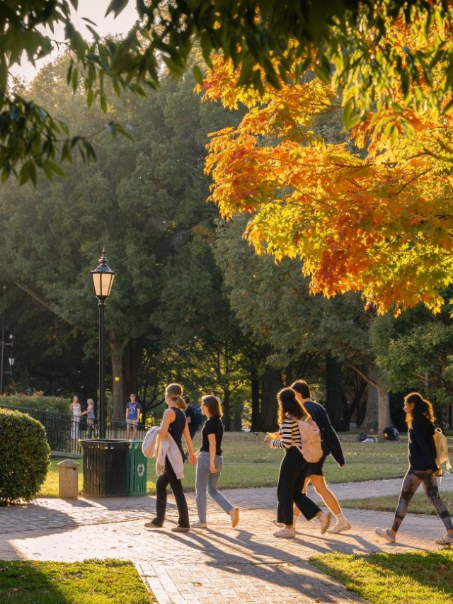 A bustling college campus scene with students walking and socializing.
