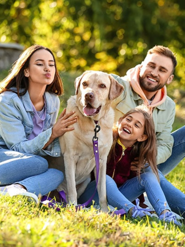 Experience Family Fun
