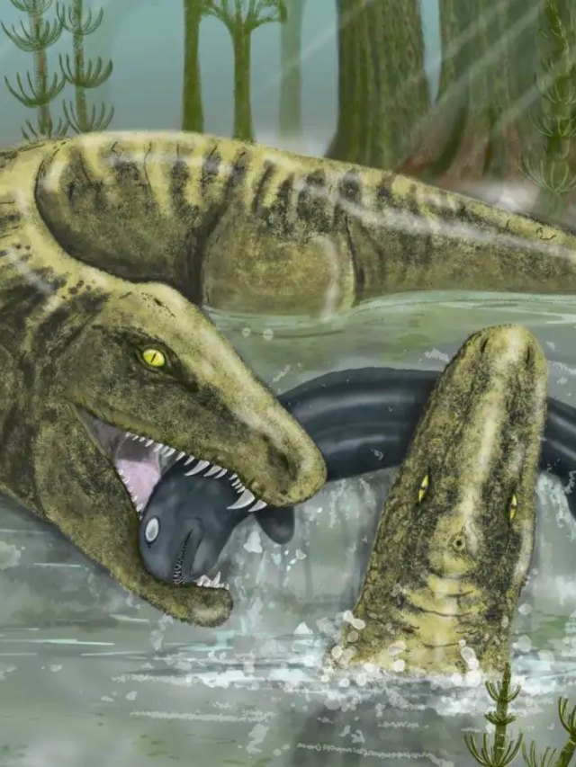 A Growing Predator
