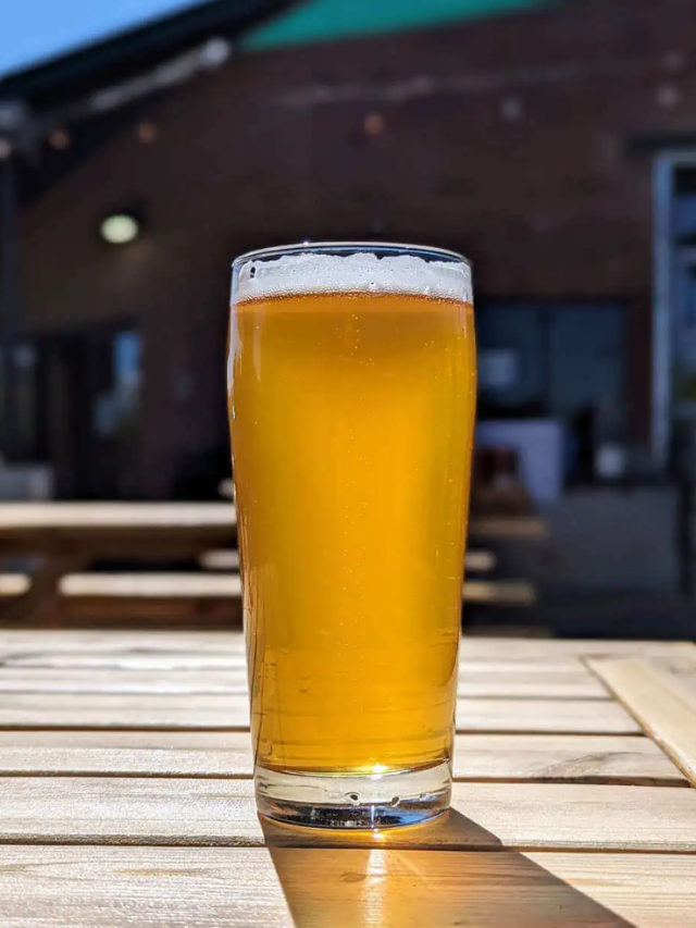 Craft Beer Haven
