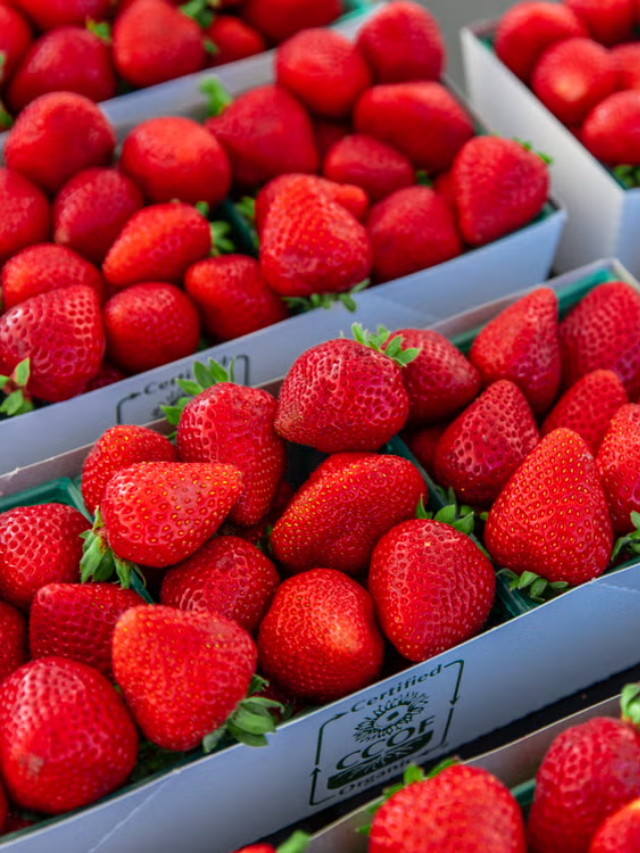 The Santa Monica Farmers Market, overflowing with fresh produce, flowers, and artisan crafts.
