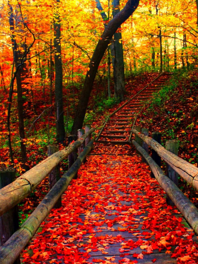Celebrate the Seasons
