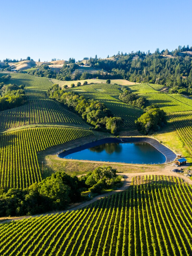 Wine Country Charm
