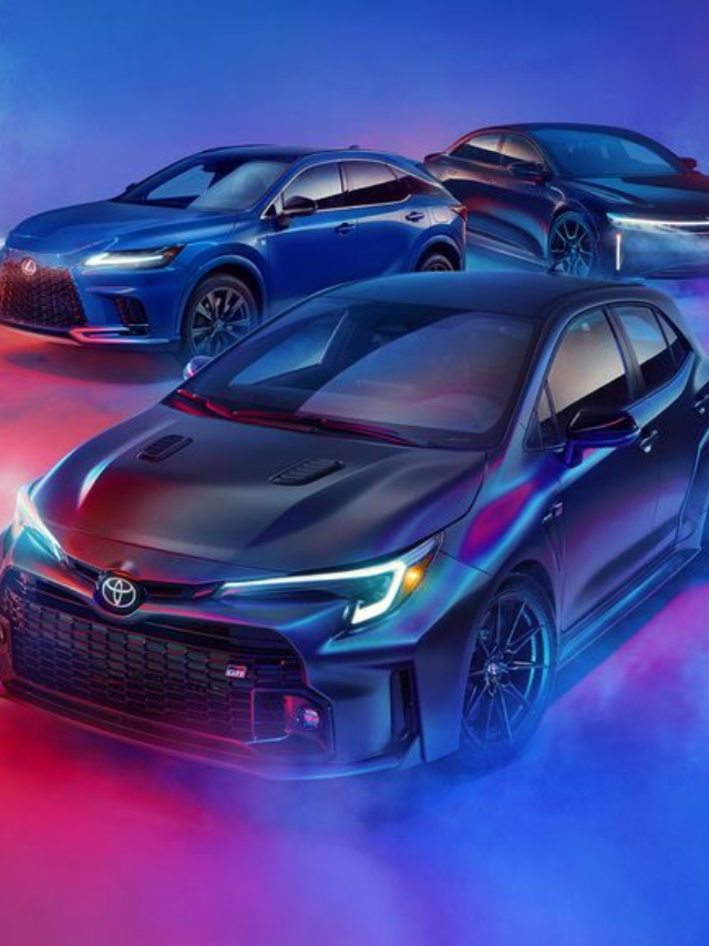 Circuit Edition Features
