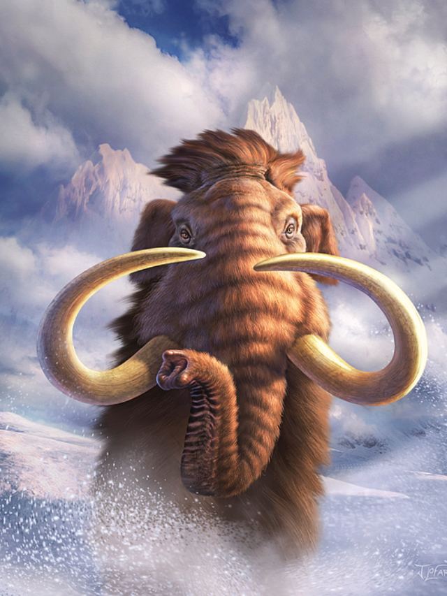 What caused their extinction? A genetic puzzle
