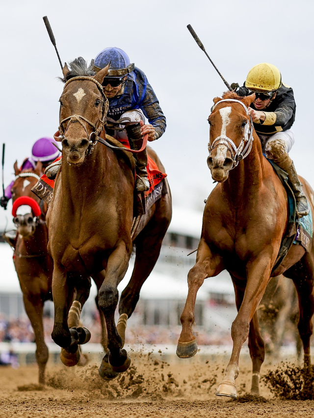  More Handicapping Picks
