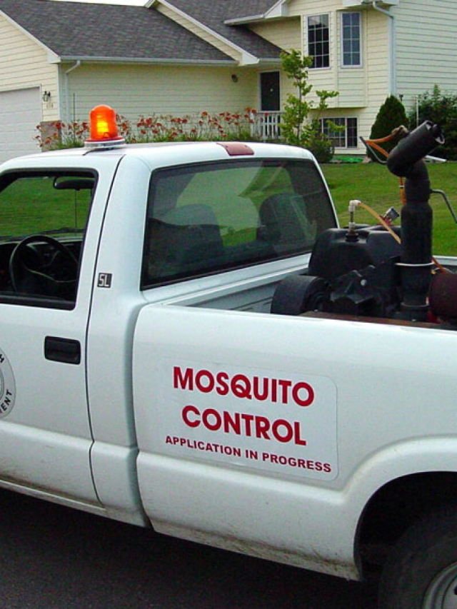 Mosquito Control in Action