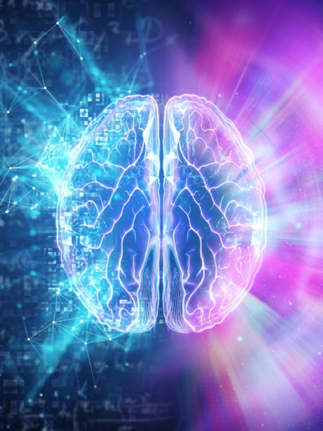 Decoding the Brain's Blueprint in Children