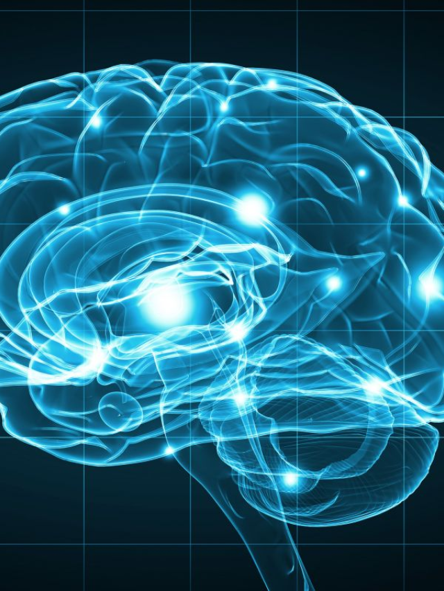 Decoding the Brain's Blueprint in Children