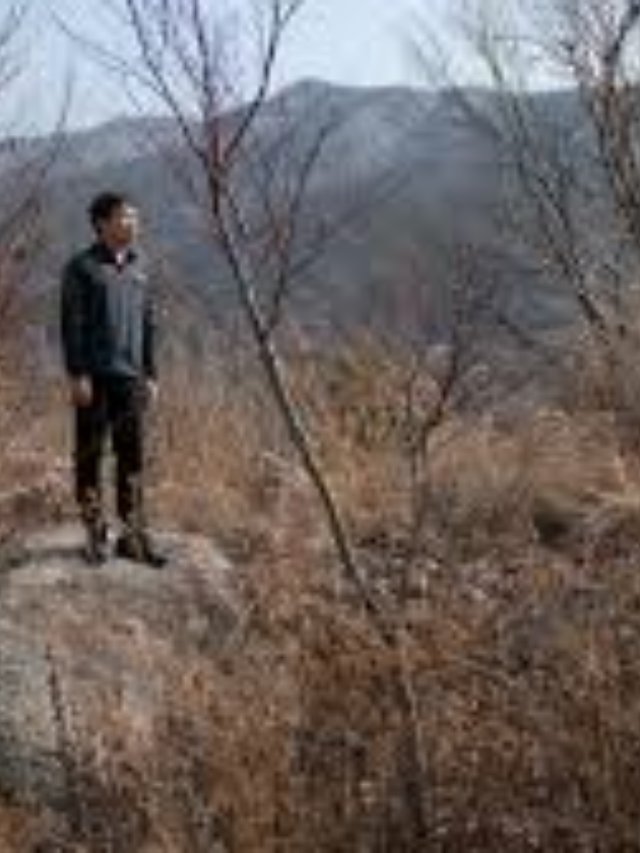 The DMZ: A Tense Border