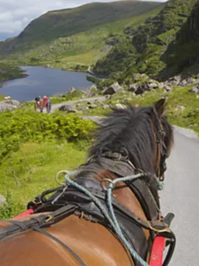 Ireland's Tourist Town Reinvented