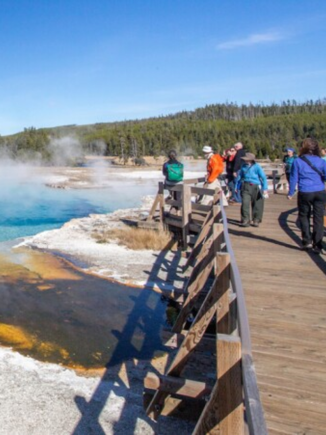  Tourist Ignored Yellowstone Safety, Gets Scolded by Ranger